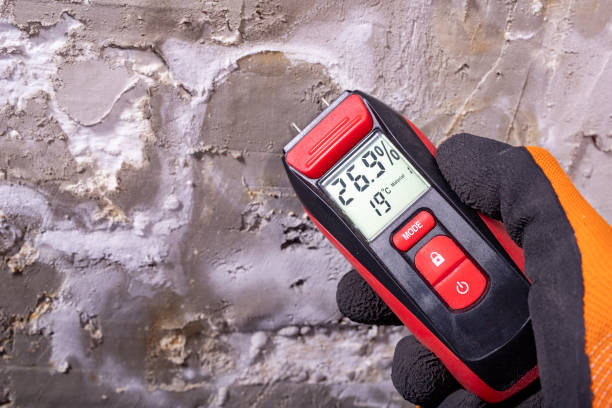 Best Health and Safety Mold Remediation in Strathmore, NJ