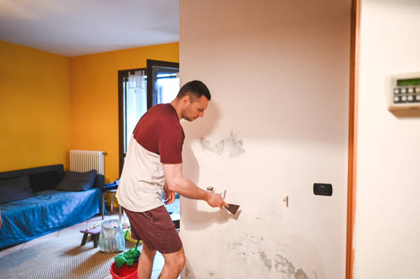 Best Localized Mold Remediation (e.g., coastal areas, humid climates) in Strathmore, NJ